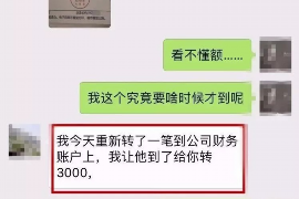 汉台为什么选择专业追讨公司来处理您的债务纠纷？